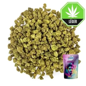 Small Buds Amnesia