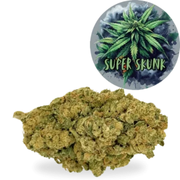 Super Skunk Amsterdam quality CBD Glasshouse