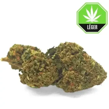 Mango Kush