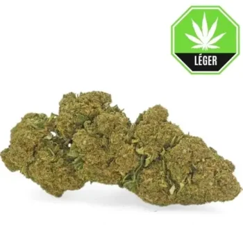 Bruce Banner