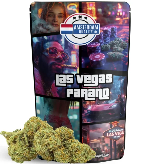 Las Vegas Parano