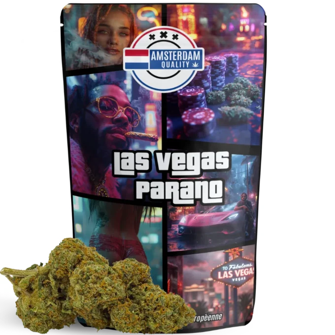 Entrez dans l’ambiance d’Amsterdam avec la Las vegas Parano. Une fleur CBD forte et savoureuse à prix canon.