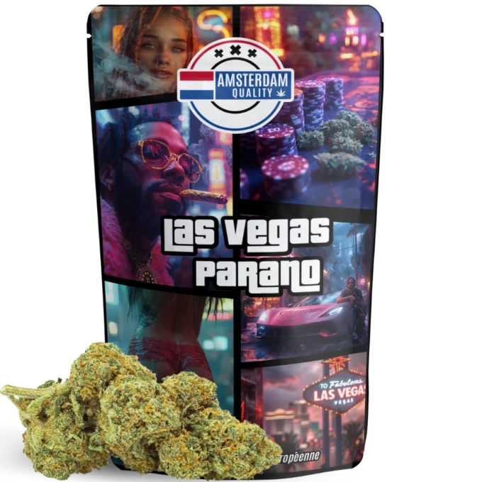 Las Vegas Parano