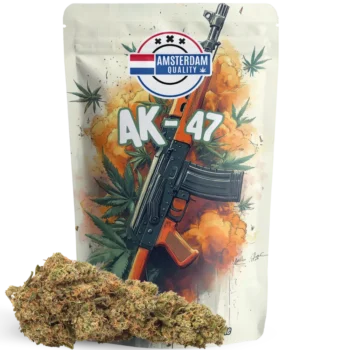 Fleur CBD puissante et boisée. Effet relaxant rapide. Une variété explosive, toujours légale, par Amsterdam Quality.