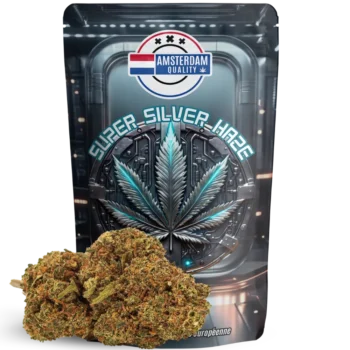 Fleur CBD aux notes poivrées et fraîches. Effet équilibré et stimulant. Qualité supérieure signée Amsterdam Quality.