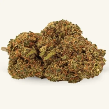 super silver haze cbd