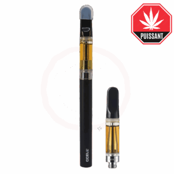 Vape Pen 10-OH CCELL M3 Plus (cartouche incluse)