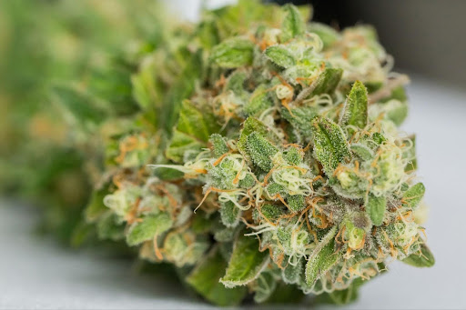 Cbd le plus puissant à fumer