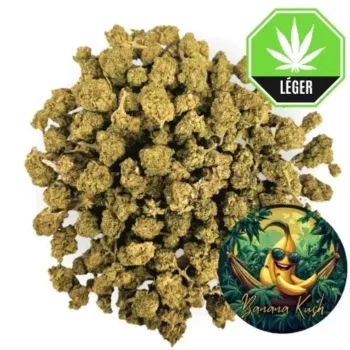 Small Buds Banana Kush