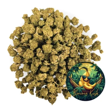 Small Buds Banana Kush