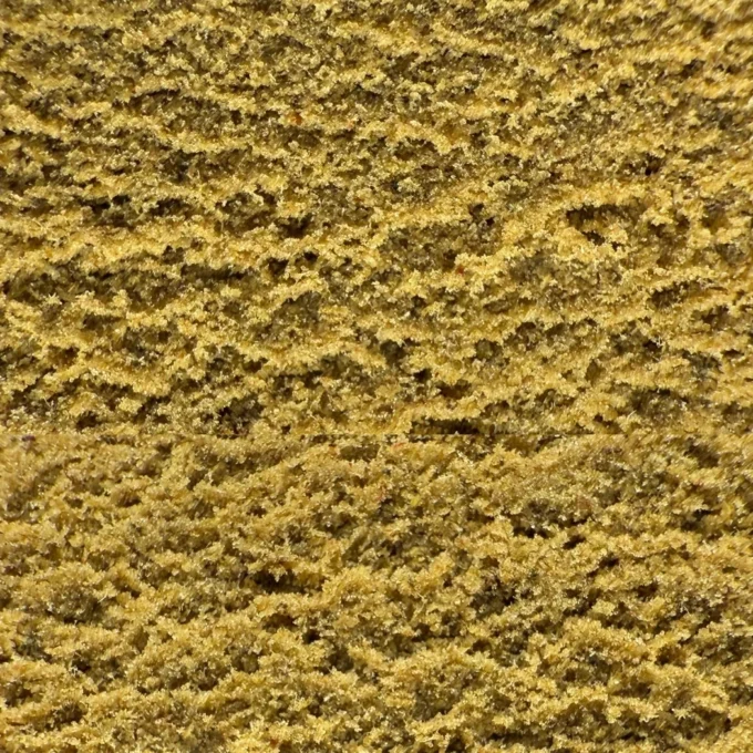 Gelato H