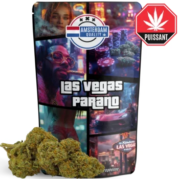 Quartier rouge 11 Las Vegas Parano