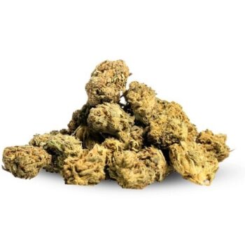 amnesia cbd 2.0 amsterdam quality 1