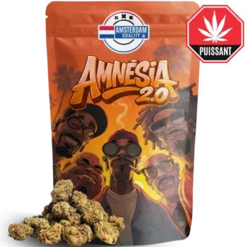 Small Buds Amnésia 2.0