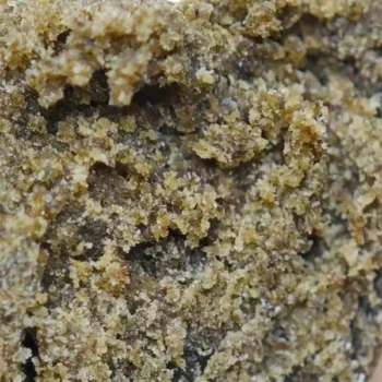 resine runtz hash amsterdam quality gros plan cbd