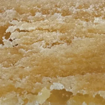 caramelo cbd amsterdam quality 2