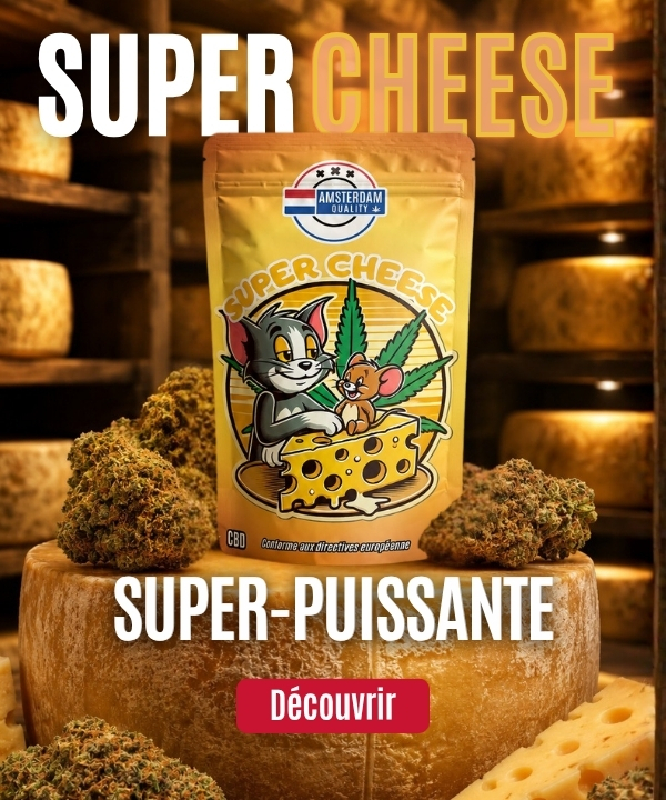 Promotion Fleur Super Cheese mobile