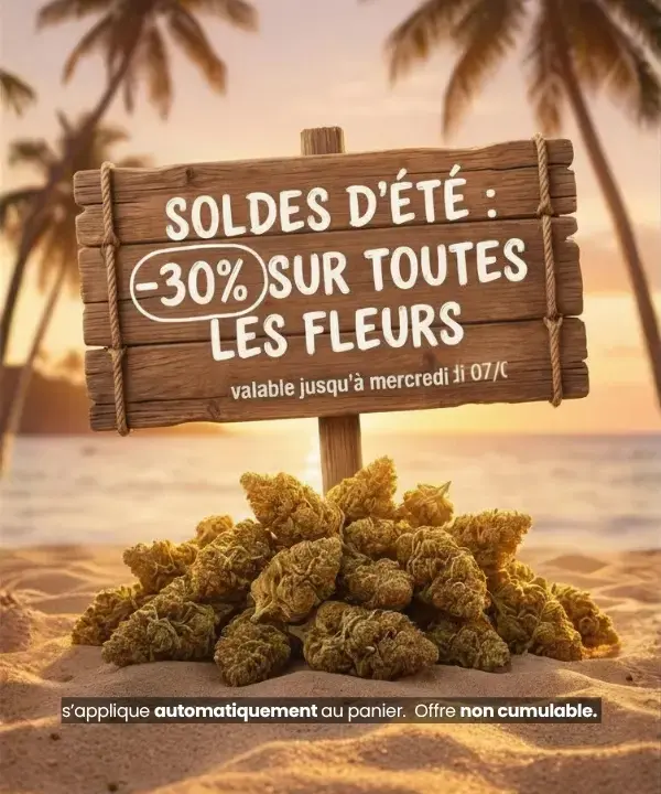 Soldes d'été Semaine 1 Résine mobile
