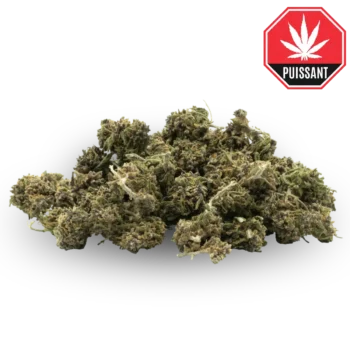 Small buds Mix