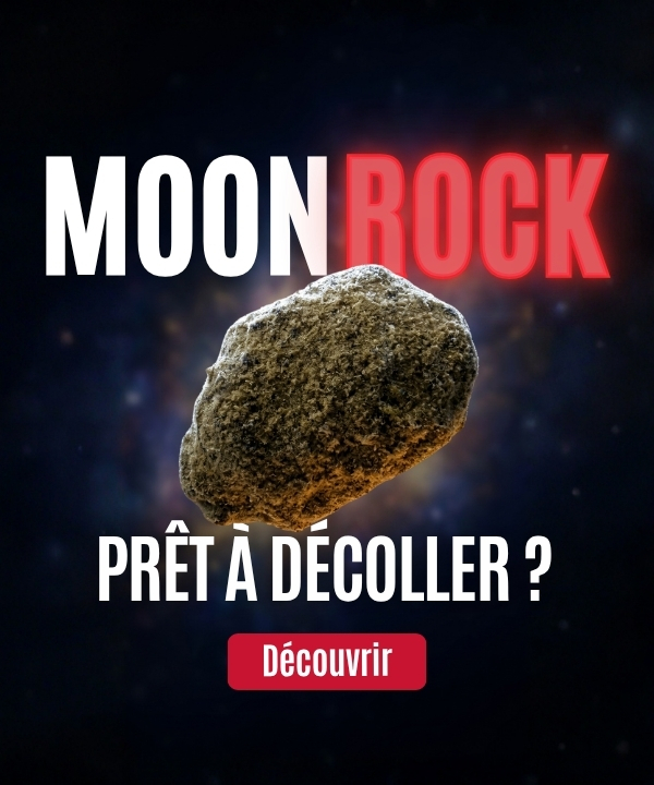 Promotion Moon Rock mobile