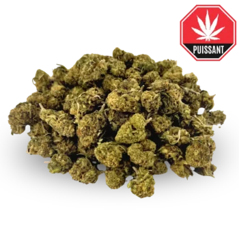 Small buds Mix