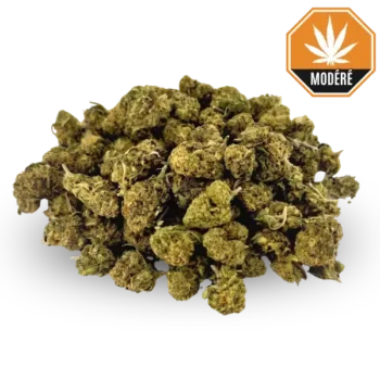 Small buds Mix