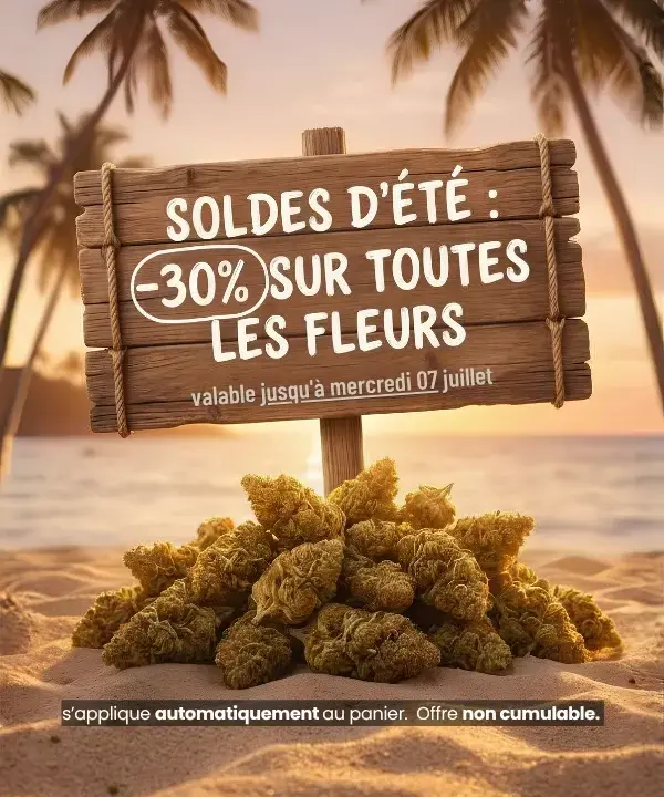 Soldes d'été Semaine 1 Résine mobile