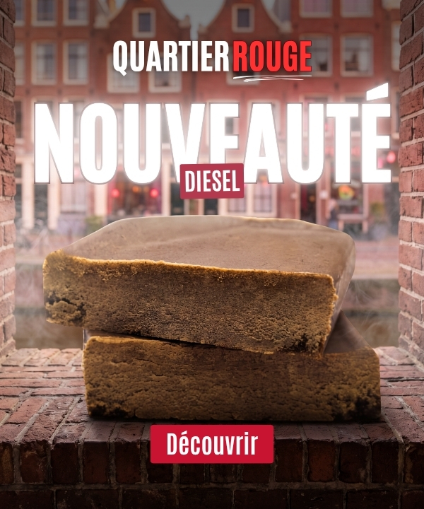 Promotion Fleur Diesel mobile