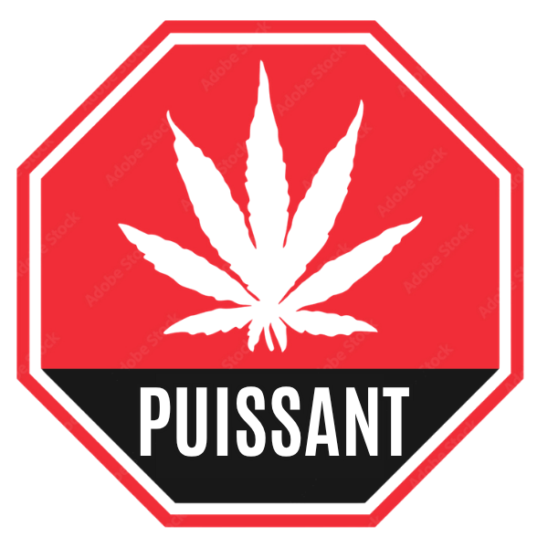 Puissance élevée