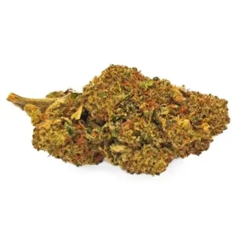 breaking bud