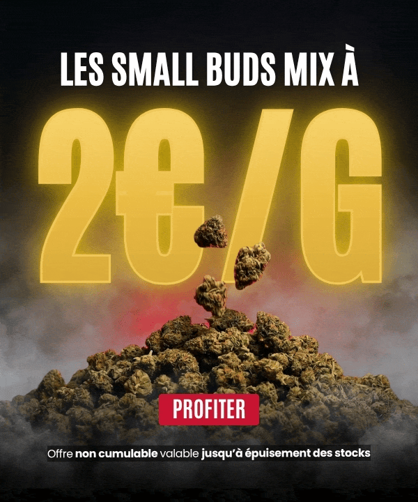 Small Buds Mix mobile