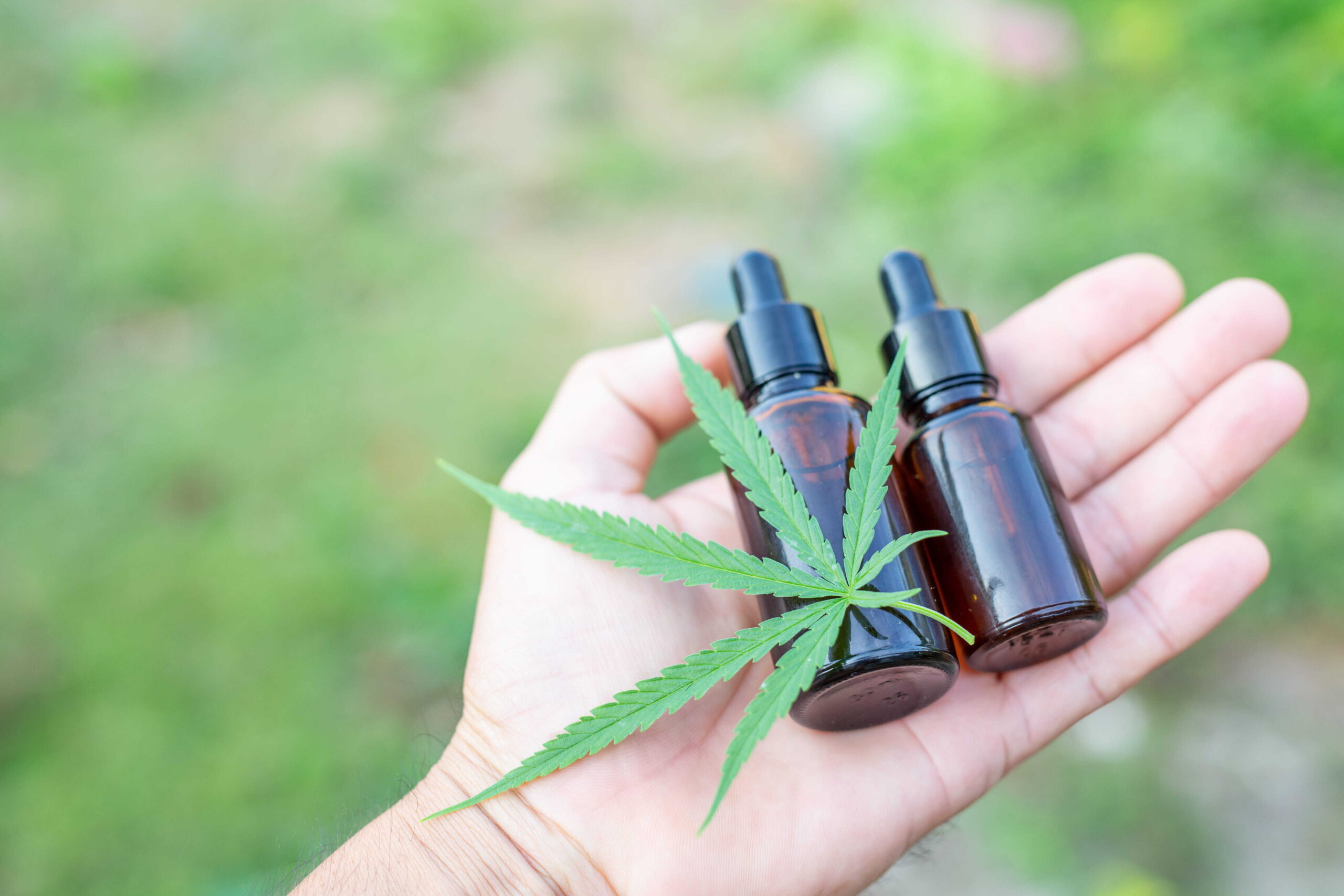 difference-cbd-thc